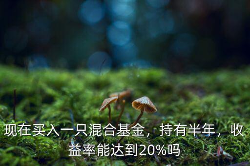 現(xiàn)在買入一只混合基金，持有半年，收益率能達(dá)到20%嗎