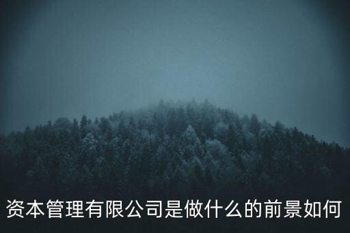 明嘉資本是什么公司,什么是資本結(jié)構(gòu)和公司價(jià)值