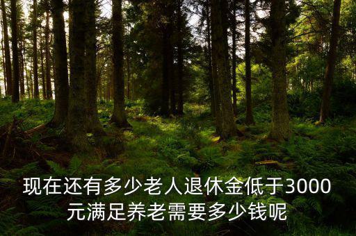 現(xiàn)在還有多少老人退休金低于3000元滿(mǎn)足養(yǎng)老需要多少錢(qián)呢