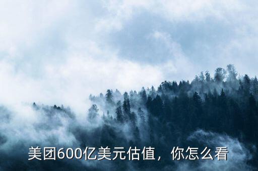 600億美元怎么看,美團(tuán)600億美元估值