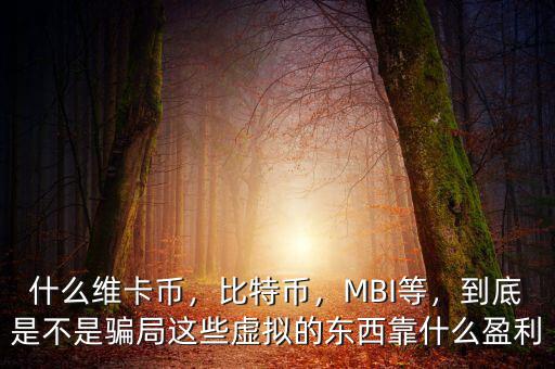 什么維卡幣，比特幣，MBI等，到底是不是騙局這些虛擬的東西靠什么盈利