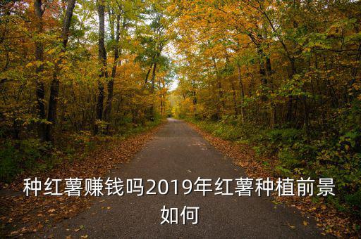 種紅薯賺錢嗎2019年紅薯種植前景如何