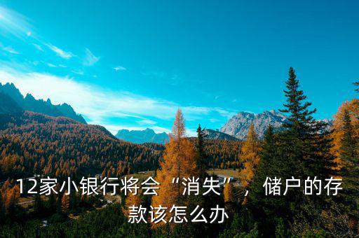 怎么預(yù)防儲(chǔ)戶存款消失,儲(chǔ)戶的存款該怎么辦