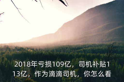 2018年虧損109億，司機(jī)補(bǔ)貼113億，作為滴滴司機(jī)，你怎么看