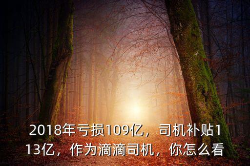 2018年虧損109億，司機(jī)補(bǔ)貼113億，作為滴滴司機(jī)，你怎么看