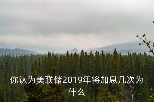 你認為美聯(lián)儲2019年將加息幾次為什么