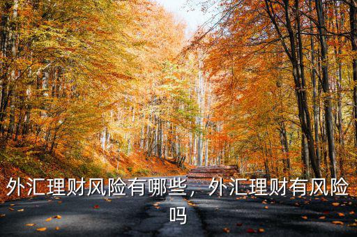 什么是外匯理財,外匯理財風(fēng)險有哪些