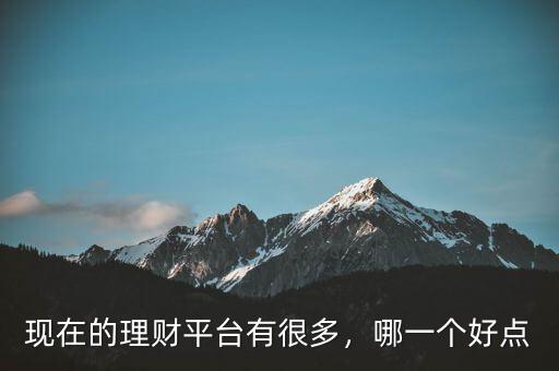 現(xiàn)在的理財(cái)平臺(tái)有很多，哪一個(gè)好點(diǎn)