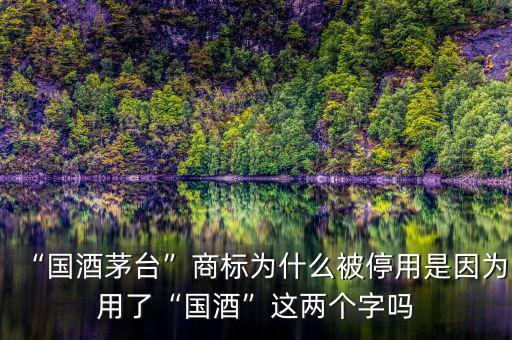 “國酒茅臺”商標(biāo)為什么被停用是因?yàn)橛昧恕皣啤边@兩個字嗎