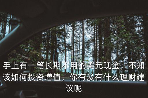 手上有一筆長期不用的美元現(xiàn)金，不知該如何投資增值，你有沒有什么理財建議呢