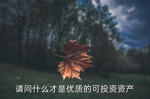 請問什么才是優(yōu)質(zhì)的可投資資產(chǎn)