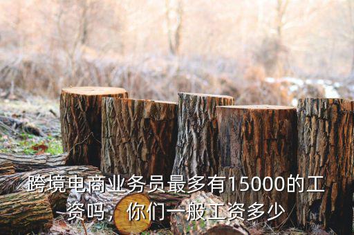 跨境電商業(yè)務(wù)員最多有15000的工資嗎，你們一般工資多少