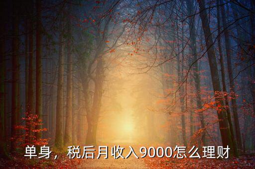 單身，稅后月收入9000怎么理財