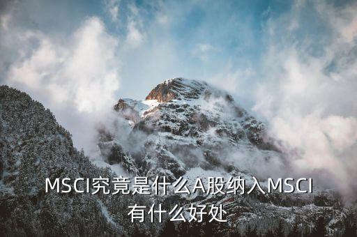 MSCI究竟是什么A股納入MSCI有什么好處