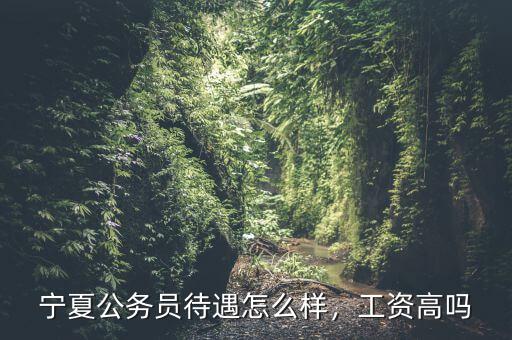 寧夏公務員待遇怎么樣，工資高嗎