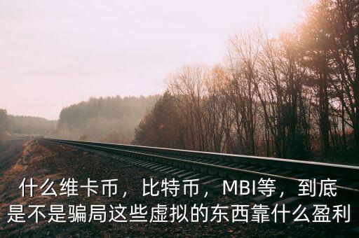 什么維卡幣，比特幣，MBI等，到底是不是騙局這些虛擬的東西靠什么盈利