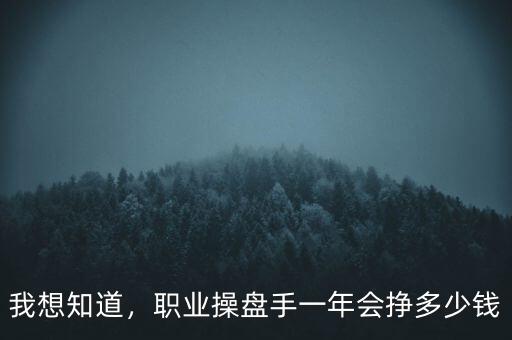 我想知道，職業(yè)操盤手一年會(huì)掙多少錢