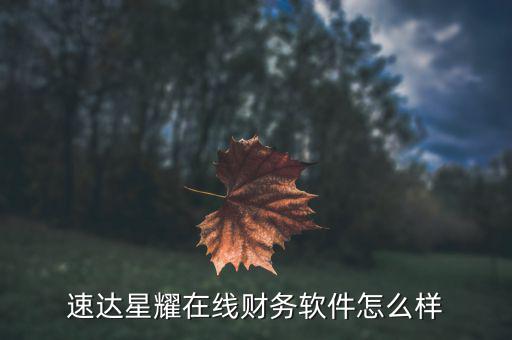 網(wǎng)達(dá)軟件怎么樣,速達(dá)星耀在線(xiàn)財(cái)務(wù)軟件怎么樣