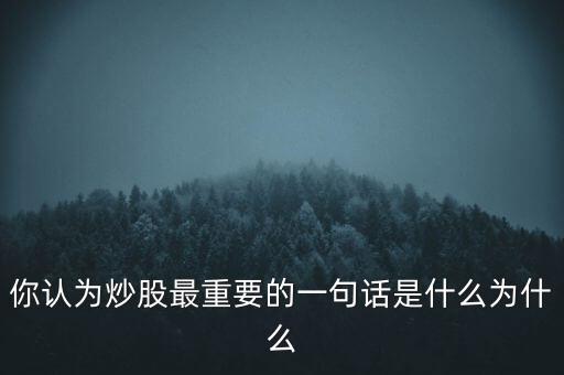 你認為炒股最重要的一句話是什么為什么