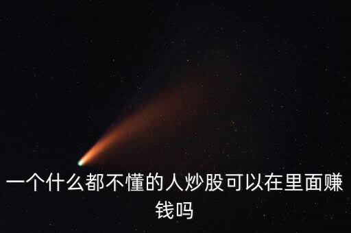 一個什么都不懂的人炒股可以在里面賺錢嗎