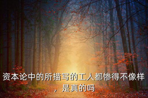 資本論是什么發(fā)表的,《資本論》是一本什么樣的書