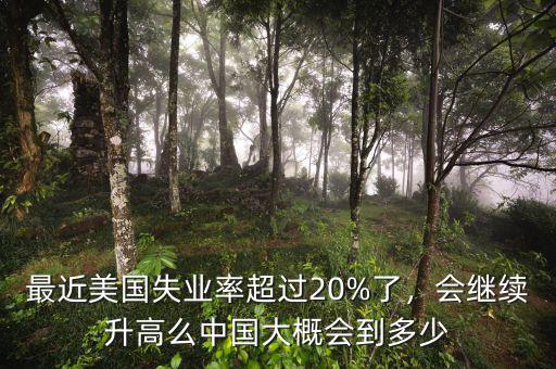 最近美國失業(yè)率超過20%了，會繼續(xù)升高么中國大概會到多少