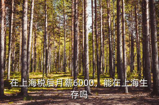 在上海稅后月薪6000，能在上海生存嗎