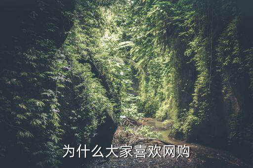 為什么網(wǎng)購,為什么大家喜歡網(wǎng)購