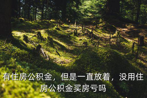 有住房公積金，但是一直放著，沒用住房公積金買房虧嗎