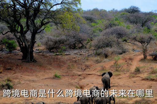 為什么俄羅斯女性會(huì)經(jīng)常在跨境電商上消費(fèi),為什么到處都在宣傳跨境電商