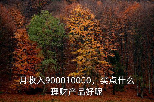 月收入9000怎么理財,稅后月收入9000怎么理財