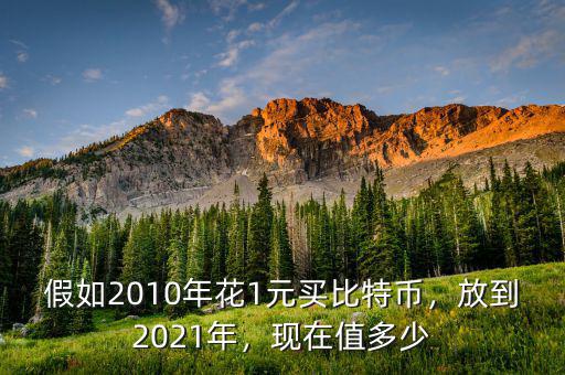 假如2010年花1元買比特幣，放到2021年，現(xiàn)在值多少