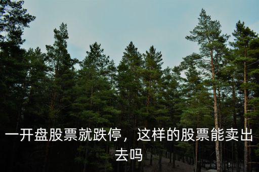 一開盤股票就跌停，這樣的股票能賣出去嗎