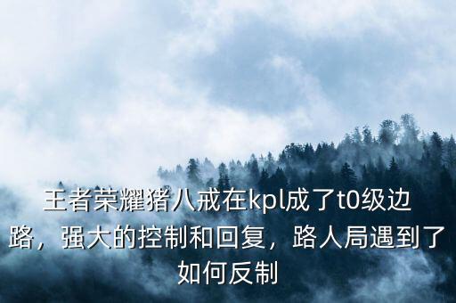 王者榮耀豬八戒在kpl成了t0級邊路，強大的控制和回復(fù)，路人局遇到了如何反制