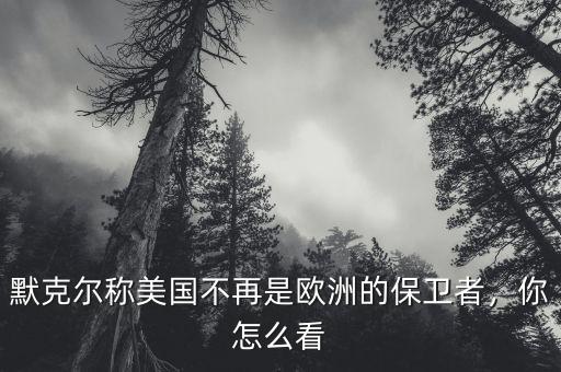 歐洲怎么看美國,對此你怎么看