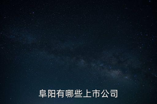 阜陽有哪些上市公司