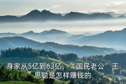 身家從5億到63億，“國(guó)民老公”王思聰是怎樣賺錢的