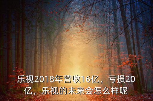 樂視2018年營收16億，虧損20億，樂視的未來會怎么樣呢