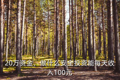 20萬資金，做什么安全投資能每天收入100元