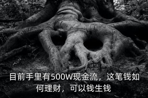 目前手里有500W現(xiàn)金流，這筆錢如何理財(cái)，可以錢生錢