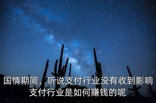 國情期間，聽說支付行業(yè)沒有收到影響支付行業(yè)是如何賺錢的呢