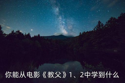 你能從電影《教父》1、2中學(xué)到什么