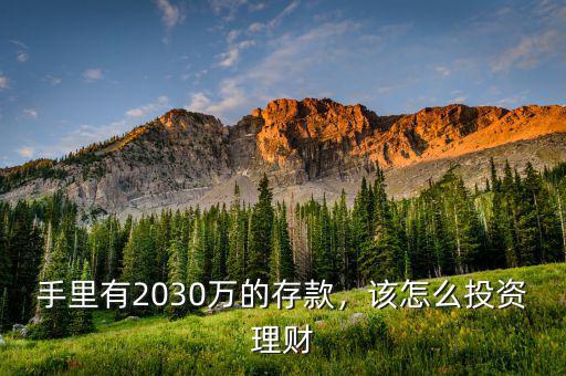 手里有2030萬的存款，該怎么投資理財