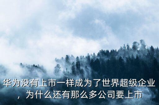 華為沒(méi)有上市一樣成為了世界超級(jí)企業(yè)，為什么還有那么多公司要上市