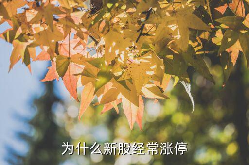 為什么新股經(jīng)常漲停