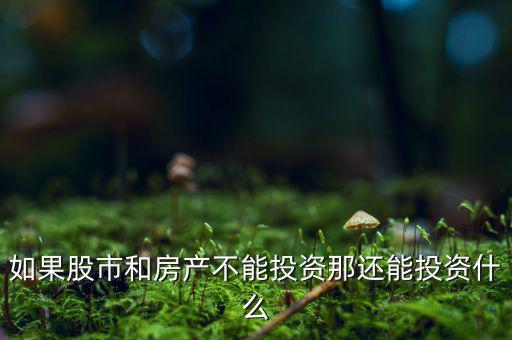 如果股市和房產(chǎn)不能投資那還能投資什么