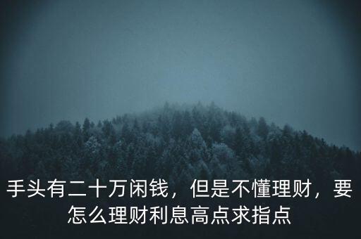 手頭有二十萬(wàn)閑錢，但是不懂理財(cái)，要怎么理財(cái)利息高點(diǎn)求指點(diǎn)