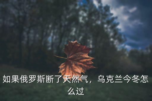 如果俄羅斯斷了天然氣，烏克蘭今冬怎么過(guò)