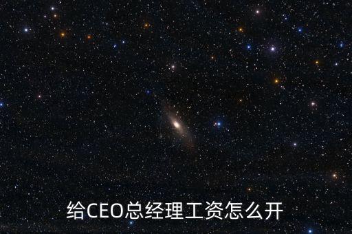 Ceo怎么開工資,創(chuàng)業(yè)公司的CEO怎么拿薪水