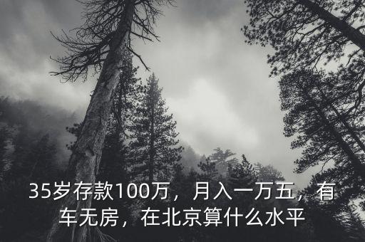 35歲存款100萬，月入一萬五，有車無房，在北京算什么水平